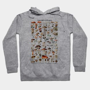 Champignons (Mushrooms) Edibility Chart Hoodie